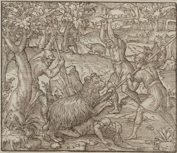 Анонимный автор (XVI век) — автор рисунка и гравёр  “Резня львов в городе Азгаре“  “Ловля крокодила на островах Нила“  “Охота на медведя в стране рабства“