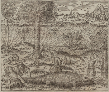 Анонимный автор (XVI век) — автор рисунка и гравёр  “Резня львов в городе Азгаре“  “Ловля крокодила на островах Нила“  “Охота на медведя в стране рабства“