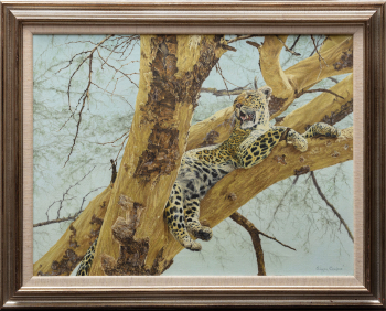 Саймон Глентон Комбс (1940–2004) "Леопард, отдыхающий на дереве"